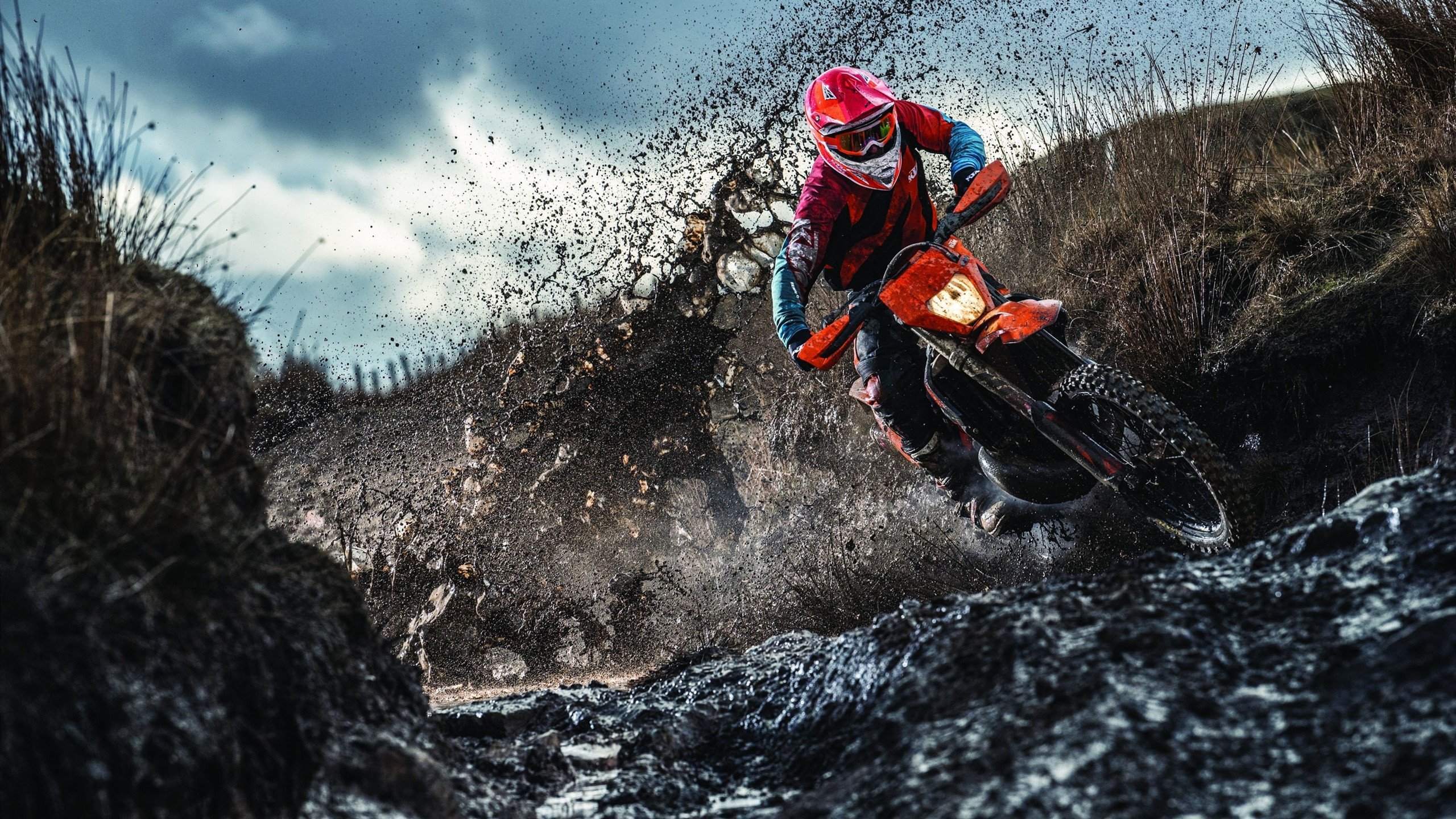 奥运冠军目标卫冕